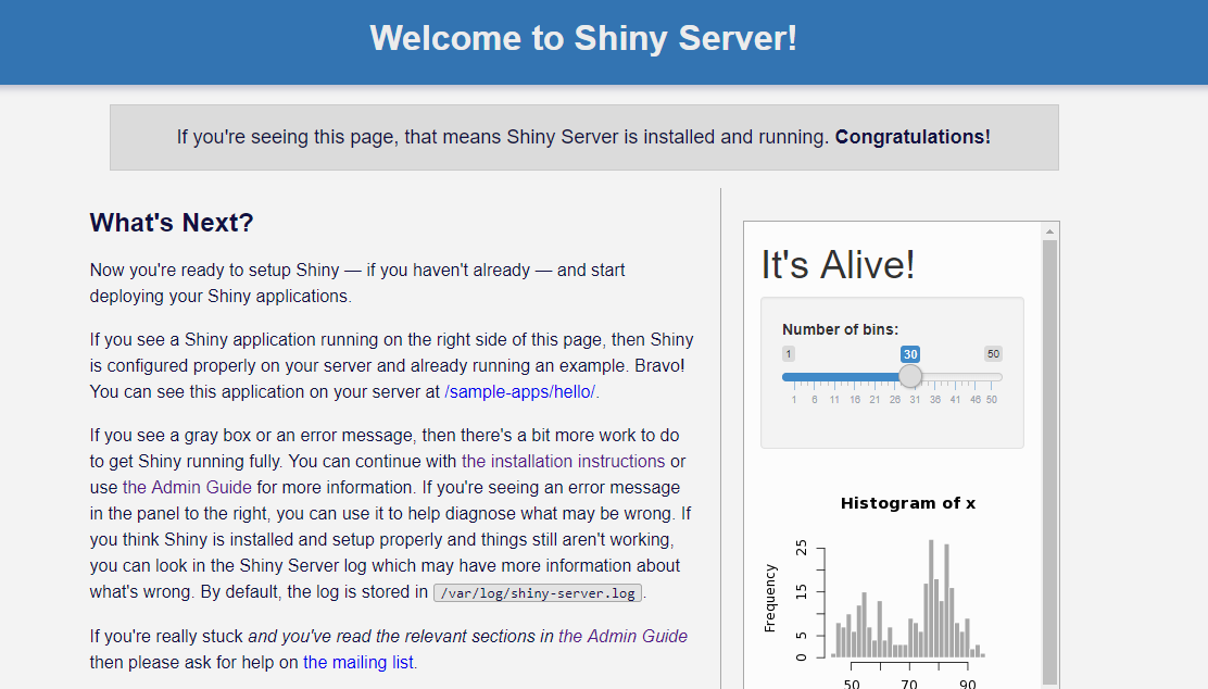Shiny Server Interface